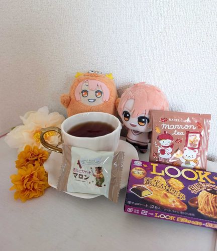 かいぬしと秋の味覚でティータイムしたぜ〜🍁🌰
マロンティーおいしかったな！