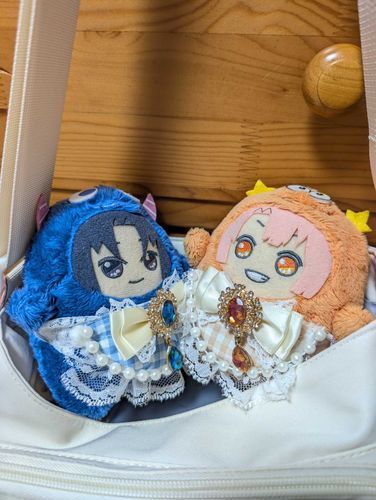 明日はかいぬしと、かいぬしのともだちとあそびに行くんだって！
おめかししてもらったぞ〜！