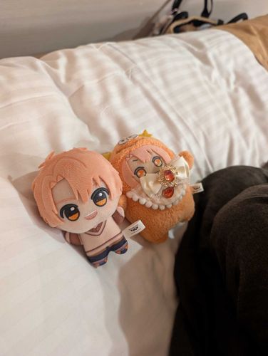 おっ かいぬしと め あったぞー！✨️
なんだー？どうしたんだかいぬし！