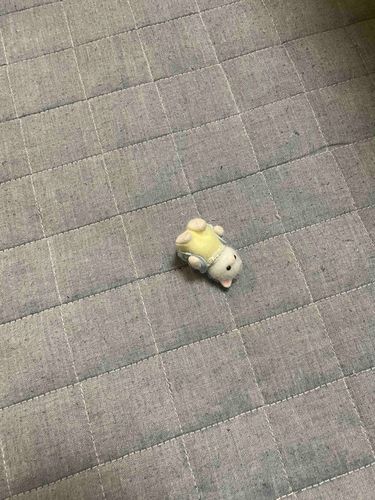 あいたっ