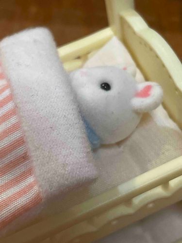 夜更かし勢へ      こいつを見習え