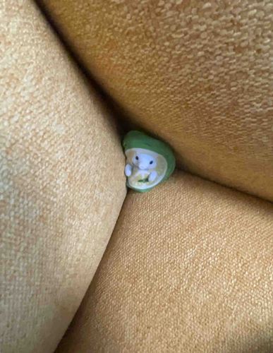 恥ずかしがり屋
