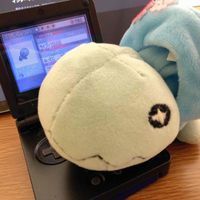 ナックラーのやすみ
