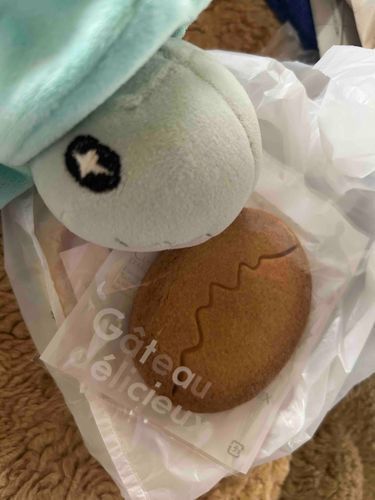 たまごのかたちの　サブレだ……