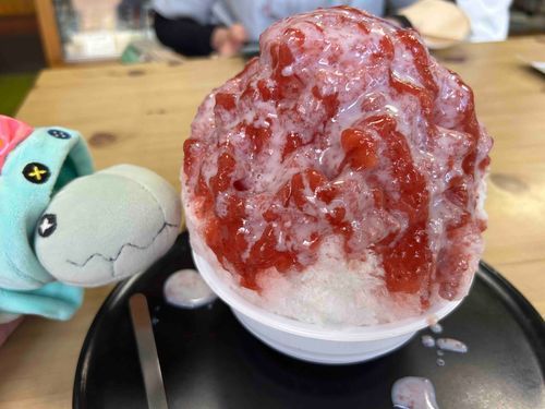 和菓子屋さんの かきごおり！
こうかはばつぐんだ！
やすみの たいおんが さがった