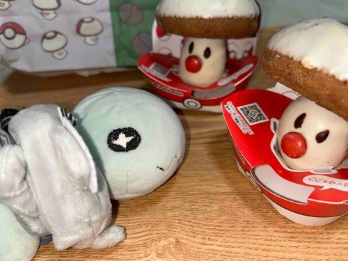 うわ！  やせいの
タマゲタケが   あらわれた！