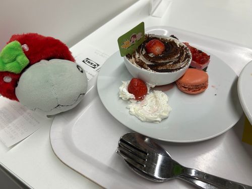 しんせいかつの　じゅんびを
したようだ……