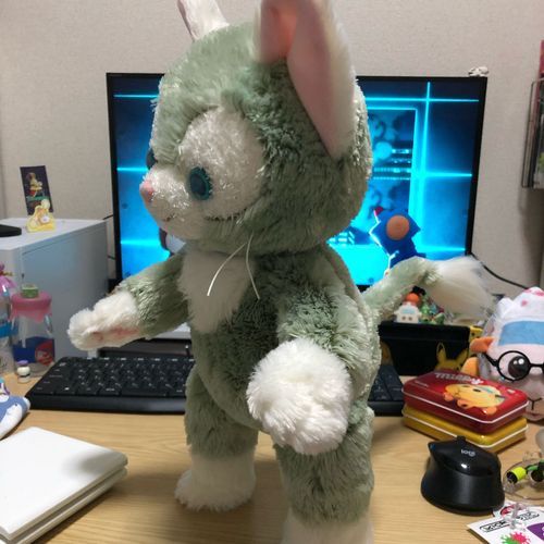 大手術をして立てるようになったんだ