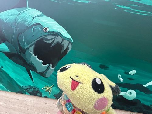 ぴちゅさんは コセイブツの
べんきょうをしたみたい

ダンクルオステウスが きになるようだ
（ぴちゅさん）