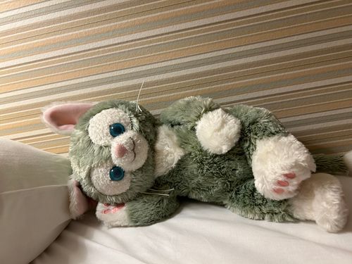 どしたん？はなしきこか？



連休明けがんばろ！