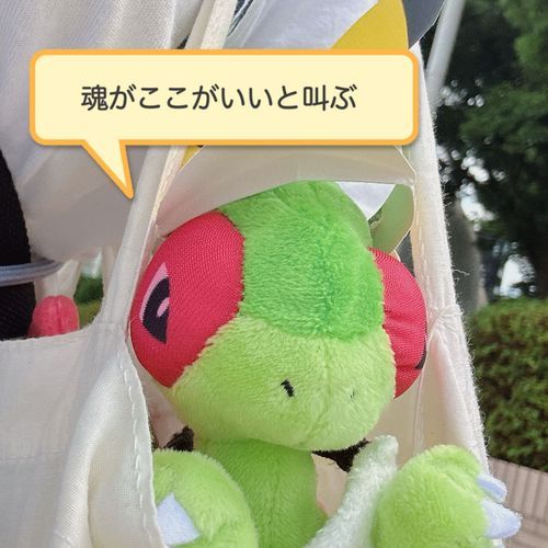 だいすきなバンドの　だいすきな曲の　
だいすきなMVが　たくさん再生されたようだ！
おめでとう！　ありがとう！　だいすき！