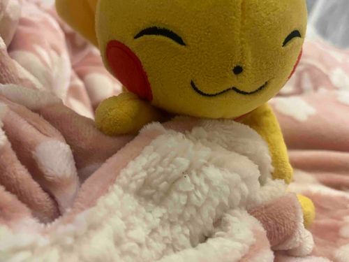 寝るよ〜、それは暑いからまた冬の時にね