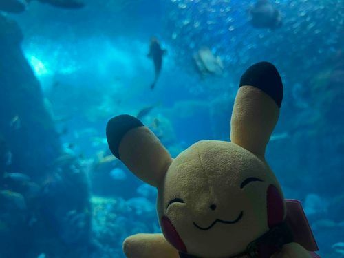 すずしくなーれ