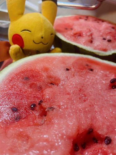 おはよすいか！🍉
ヘルツよりおっきいね