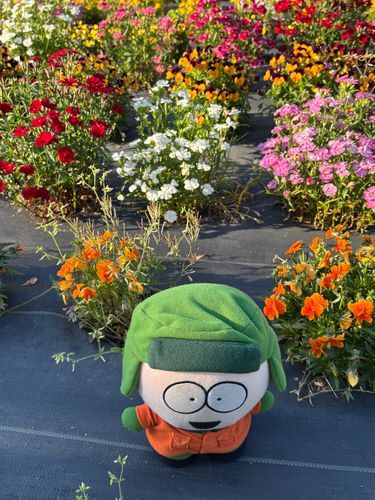 お花がいっぱい