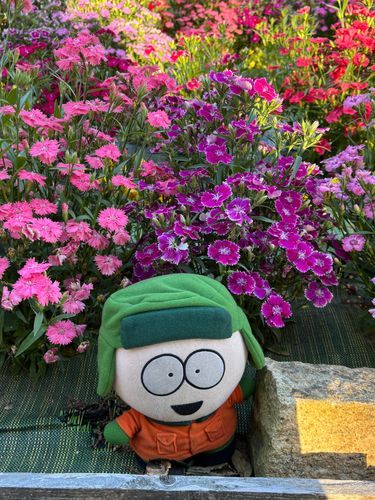 ピンク系の花
