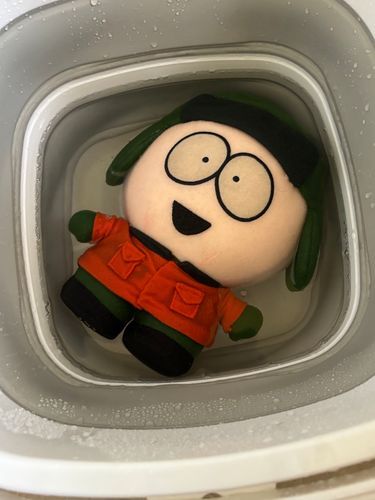 またまた洗っておりました