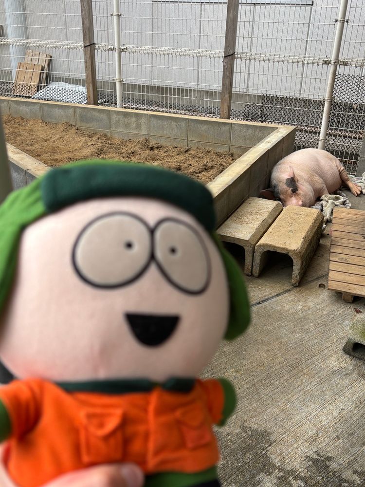 たのしかったね