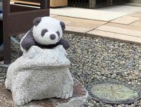 ぽてち