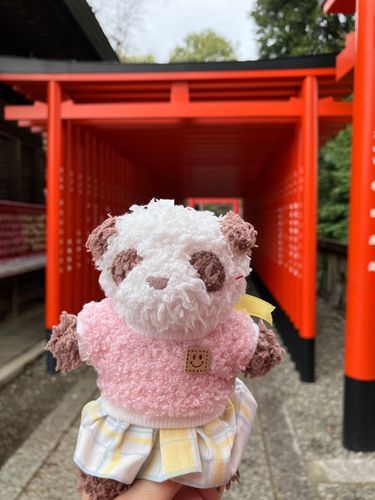 京都の伏見稲荷大社ではない⛩️とある神社⛩️
