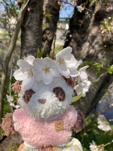 ゆりちゃん「桜の花冠、似合う〜？」