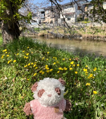 ゆりちゃん「今日もいいお天気だったから、おさんぽ〜」