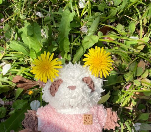 ゆりちゃん「たんぽぽがいっぱい咲いてる道を歩いてたら、お耳がたんぽぽになっちゃった〜💕いつもの黒い耳より可愛くてお気に入り〜😊」