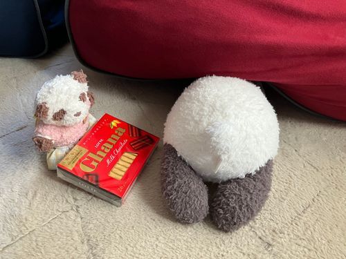 お家に帰ってきたら、ぽてちが……
ぽてち「今日もぼくはお外に連れて行ってもらえなかったぁぁぁ〜」
ゆりちゃん「ぽてちは✨高級エステ✨に行ったばかりだから仕方ないよ。ほら、チョコ買って来たから元気出して〜」
ママさん「だってぇ〜、せっかく真っ白で、と〜ってもいい匂いで（匂い嗅ぎまくっちゃう！）毛並みがフワッフワになったんだもの、もうしばらくぽてちのお腹やお尻をスリスリしてモフらせてほしいんだよねぇ〜。このプリけつがたまらないのぉ〜💕」
ゆりちゃん「ママさん、セリフがヤバい感じになってますよ……気持ちはわかるけど……😅」