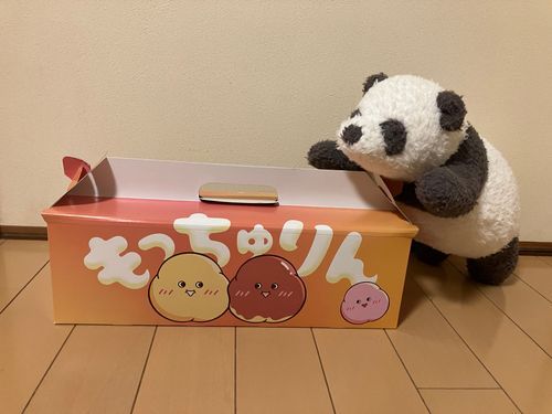 パパさんとこの箱を持ってショッピングモールを歩いていたら、高校生のおねえさんたちに「あっ、もっちゅりんだ！！」って注目されたよ
パパさんは、ちょっと恥ずかしそうだったけど、ぼくは、もっとぼくに注目して欲しかったかも😞