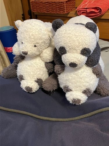 ぱんこ・こめこ・とろろ「やっほー、久しぶり〜。遊びに来たよ！」
ぽてち「みんな、いらっしゃ〜い。お盆休みはみんなに会えて嬉しいな〜」