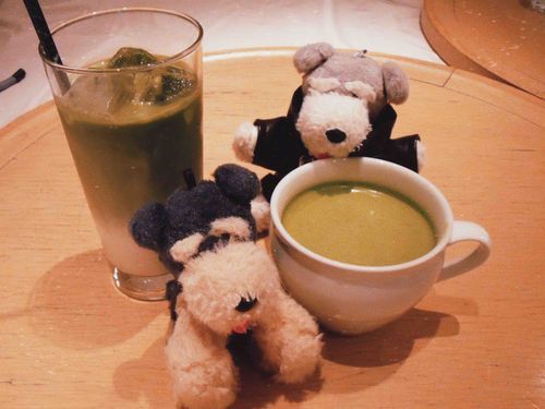 今日はまっちゃをのんだほにゃ！！