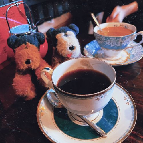 網走のカフェやさんほにゃよ〜