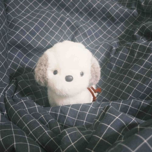 うめ吉だよー
