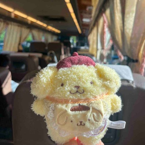 バス🚌💨
