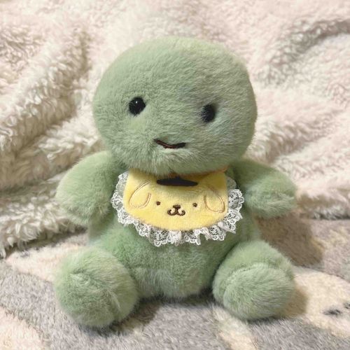 うちに新メンバーが来た！この子はかめちゃんだよー💚ིྀིིྀ✨