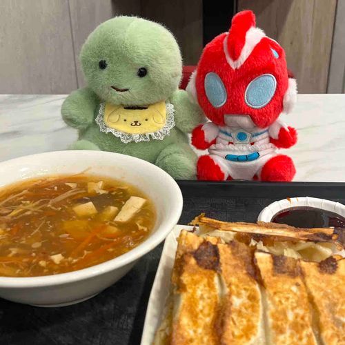 サンラータンとギョーザ 🥟🥢