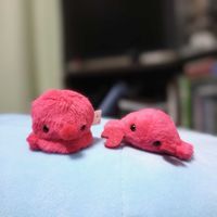 いきものたち