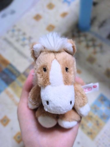 手乗りのお馬さん🐴