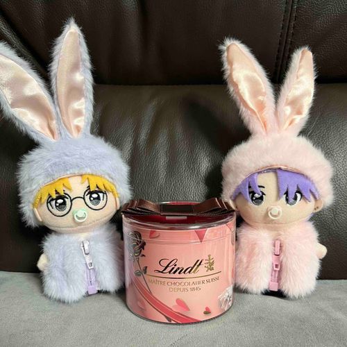 お土産でリンツのチョコとお洋服をもらったよ〜！中がとろとろのチョコおいしかったなぁ ♩ メルヘンなうさぎさんになったしょごとふぇんもかわいいね♡