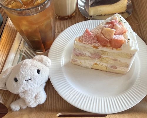 桃のケーキとアールグレイ
見てるだけでも癒されるね 美味しかったなぁ