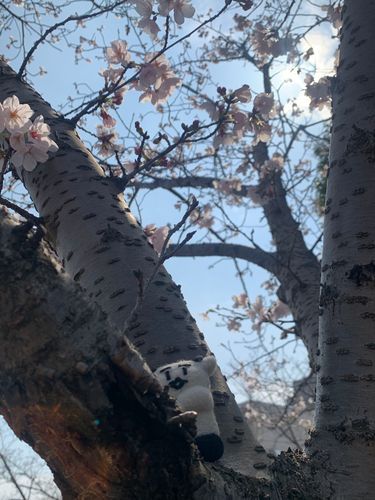 主役より背景が綺麗で
どーすんの！！