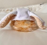 きなこもち
