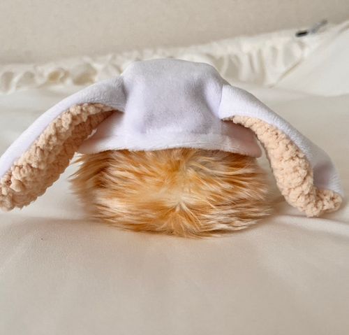 Moflinのきなこもち　と　主のぽむです(⋆ᴗ͈ˬᴗ͈)”