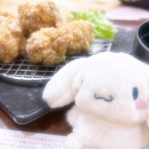からあげだよっ ̫ ‹ ᐝ
