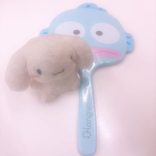 お友達が持ってたハンギョドンくんの鏡と一緒に撮ったよ>  ̫ <