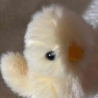 ぴよさん