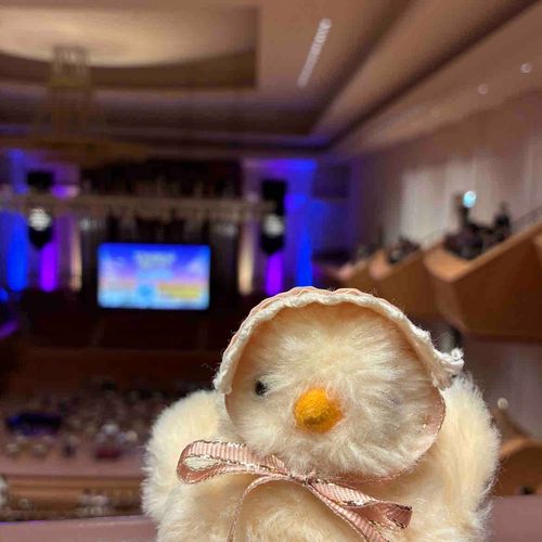 楽しいコンサートだったね