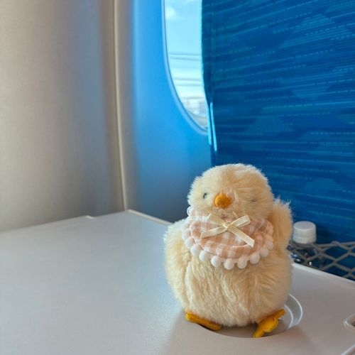 素晴らしい旅の始まりだね