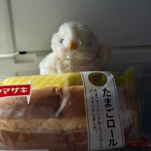 ごめんね