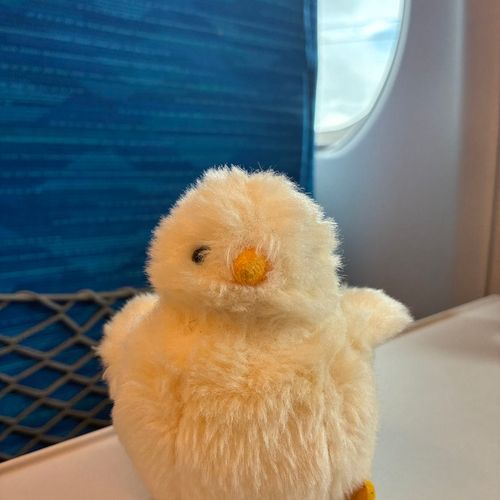 旅の始まりだね